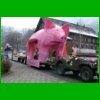 zu04_DSCN1103_schwein.html